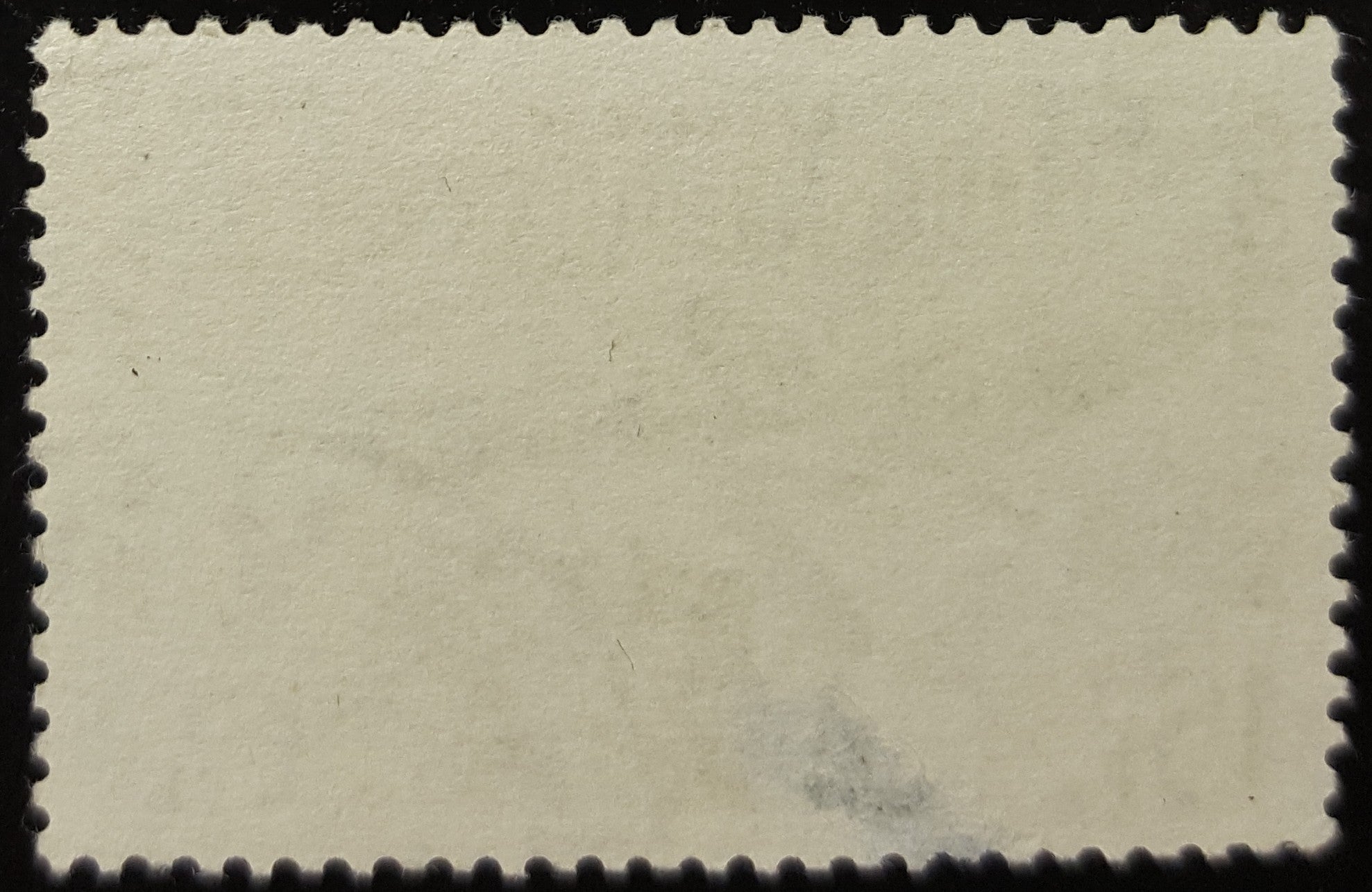 YT1203 Barrage de Foum el Gheraz en Algérie 15F 1959