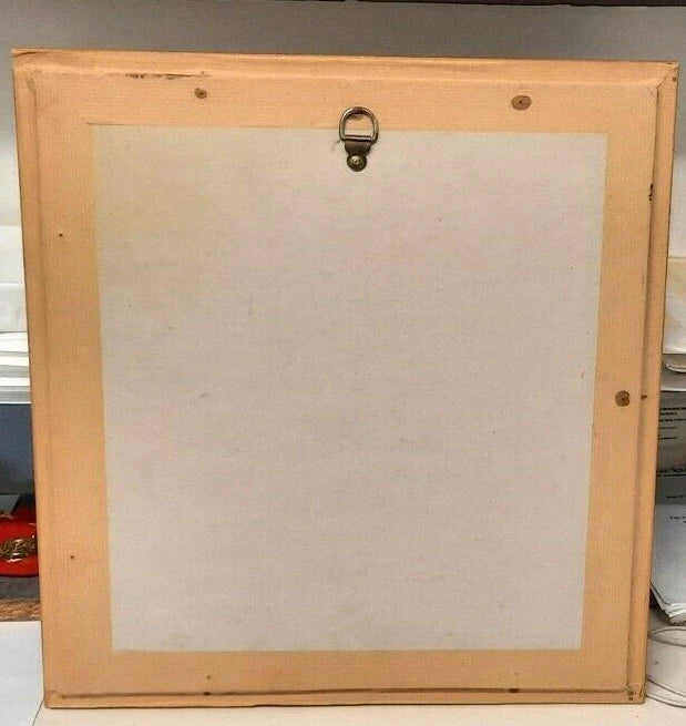 Gravure Architectes des régions dévastées dans un magnifique cadre sur mesure