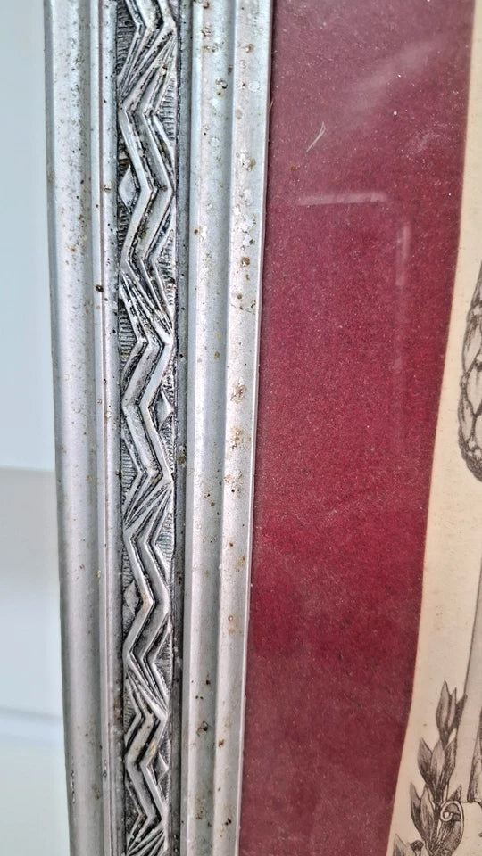 Cadre de René Leclerc du 8e Zouaves de Marche avec ses médailles